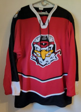 Vintage adirondack icehawks for sale  Binghamton