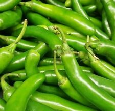 Serrano pepper seeds for sale  Berwyn