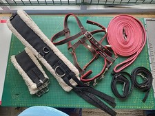 Lunging joblot full for sale  HARLOW