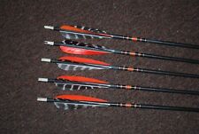 Vintage fiberglass arrows for sale  Lowell