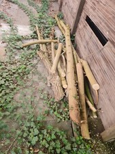 kaminholz stammholz gebraucht kaufen kaminholz stammholz gebraucht kaufen Bünde