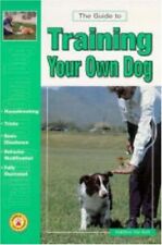 Guide training dog for sale  UK