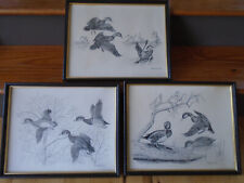 hand drawn art frame for sale  Chestertown