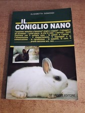 Coniglio nano elisabetta usato  San Giovanni in Persiceto