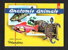 Conjunto de 48 cartas francesas anatomia animal 1963 na pasta original médica veterinária comprar usado  Enviando para Brazil