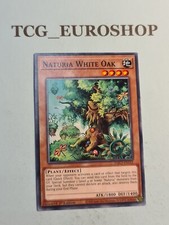 Naturia White Oak▪�YUGIOH▪�HAC1▪�2022▪�COMMON▪�ENGLISH▪�1º▪�NM #6 comprar usado  Enviando para Brazil