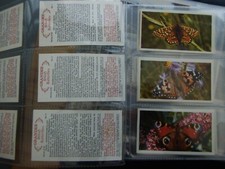 british butterflies grandee cigar cards for sale british butterflies grandee cigar cards for sale MELTON MOWBRAY