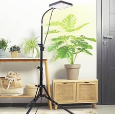 Floor grow light for sale  Iva