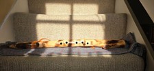 Handmade native american for sale  ST. ALBANS