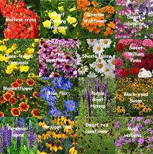 Bulk wildflower seed for sale  West Palm Beach