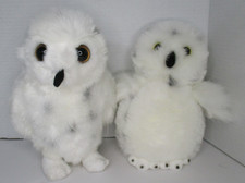 Aurora snowy owl for sale  Roxboro