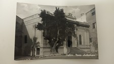 Cagliari museo archeologico usato  Follonica