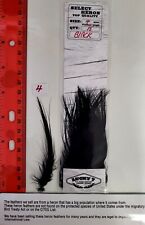 Lote de Seleccionar "Garza" Cantidad: 15 "Negro" (4" Pulgadas Plumas de Largo) segunda mano  Embacar hacia Mexico