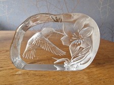Paperweight capredoni hummingb for sale  CARNFORTH