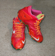 Nike lebron fruity for sale  Union