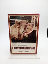 Mastino napoletano nicola usato  Italia