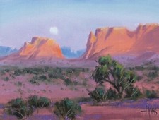 Tom haas painting for sale  Sierra Vista
