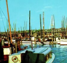 Fishermans terminal salmon for sale  San Antonio