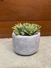 Faux potted succulent for sale  SANDY