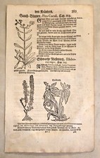 Xilografie erbario carta usato  Venezia