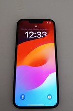 Iphone 256gb usato  Venaria Reale
