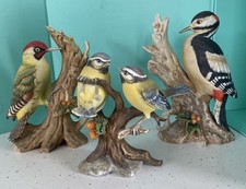 Maruri garden bird for sale Maruri garden bird for sale  REDRUTH