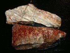 Orbicular galaxy jasper for sale  Dyer