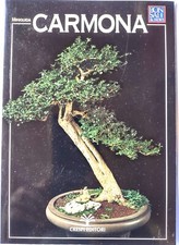 Manuale bonsai guida usato  Italia