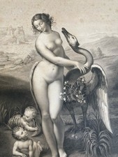 Belle gravure leonard d'occasion Belle gravure leonard d'occasion  Toulouse-