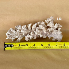 Rare dry corals for sale  El Cajon