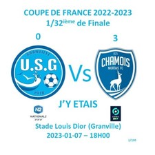Magnet us.granville chamois d'occasion  Bussy-Saint-Georges