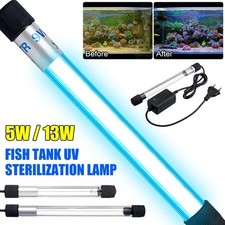 13w aquarium fish for sale  UK