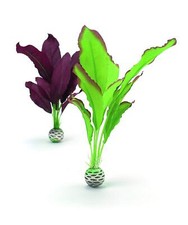 Jeu plantes soie d'occasion  Lyon I