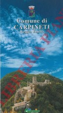Carpineti castelnuovo nè usato  Italia