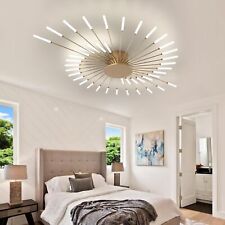 Indoor decorative ceiling for sale  Hebron