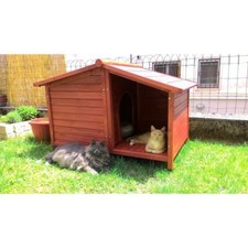 Outdoor dog kennel for sale  SHREWSBURY