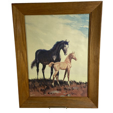 Mare foal horse for sale  Newark