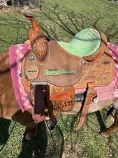 14.5 martin trophy for sale  Winnie