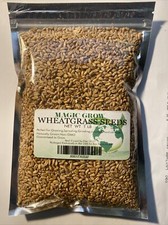 Wheat grass seed for sale  Troy