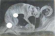 Photo plaque verre d'occasion  Cavaillon