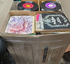 2100 vinyl lot for sale  Champlin