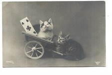 Fancy card cats d'occasion  Expédié en Belgium