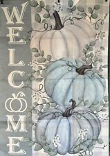 Blue white pumpkins for sale  Plainfield