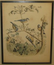 Antique 1857 edouard d'occasion  Expédié en Belgium