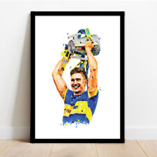 Tipperary ireland hurling for sale  NEWRY