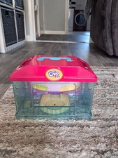 Moose little live for sale  WIGSTON