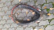 Pferde geschirr chsen gebraucht kaufen  Leipzig
