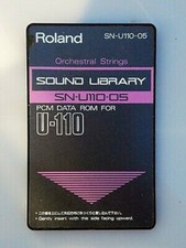 Roland u110 orchestral usato  Roma