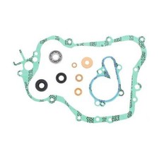 Kit guarnizioni paraoli usato  Venegono Superiore
