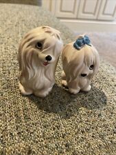 Maltese puppies shakers for sale  Sterling